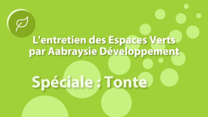 R&eacute;alisation tonte par Aabraysie D&eacute;veloppement